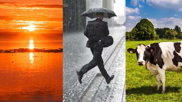 7 Cara Manual untuk Memprediksi Turunnya Hujan 