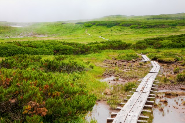 Pulau Hokkaido di Jepang (Foto: Shutter Stock)