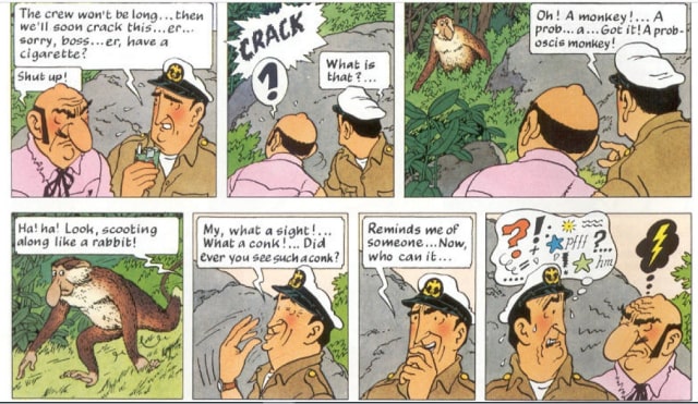 'Tintin' dan Bekantan (1)