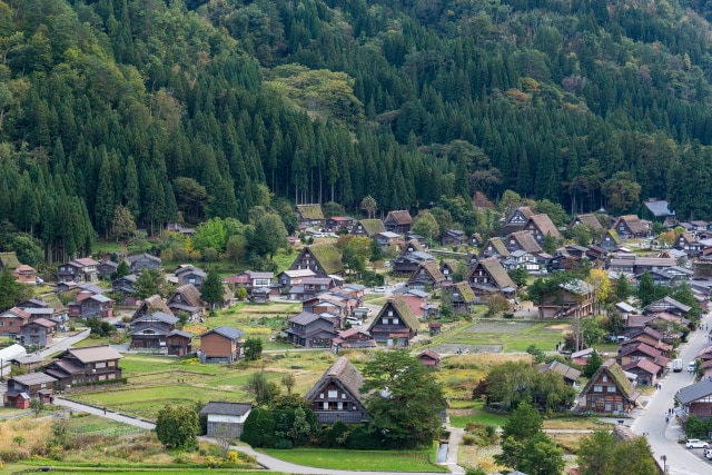 Ilustrasi Rumah di Jepang Foto: Shutter Stock