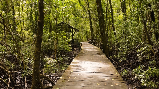 'Si Bolang' dan Penjaminan Hak Bermain Anak di Alam Bebas (1)