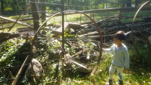 'Si Bolang' dan Penjaminan Hak Bermain Anak di Alam Bebas (2)