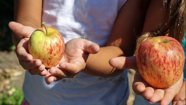 'Si Bolang' dan Penjaminan Hak Bermain Anak di Alam Bebas (3)