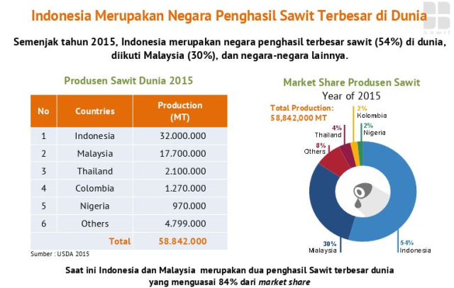 Kelapa Sawit, Buah yang Membuat Indonesia Berhasil Menguasai Dunia (2)