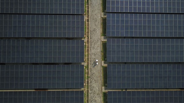 Panel surya di Pembangkit Listrik Tenaga Surya (PLTS) Cirata di Kabupaten Purwakarta, Jawa Barat. (Foto: ANTARA FOTO/Raisan Al Farisi)
