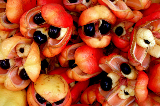ackee (Foto: Flickr/sim_walker)