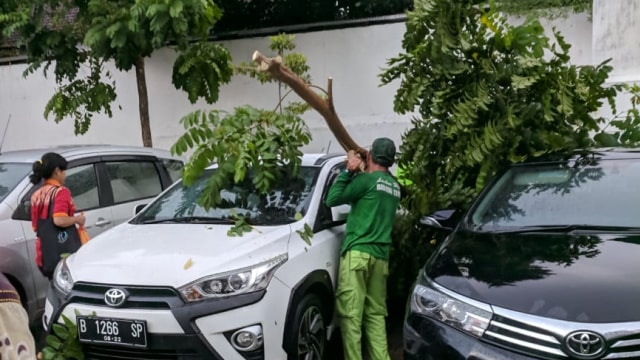 Pohon tumbang di Balai Kota DKI. (Foto: Dok. Istimewa)