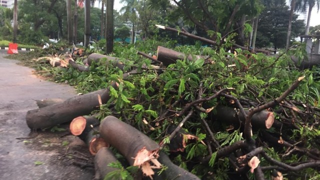 Pohon tumbang di dekat patung jenderal sudirman (Foto: Fajri/kumparan)