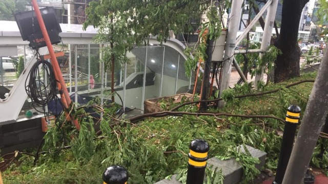 Pohon tumbang di dekat patung jenderal sudirman (Foto: Fajri/kumparan)