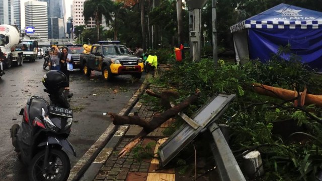 Pohon tumbang di dekat patung jenderal sudirman (Foto: Fajri/kumparan)