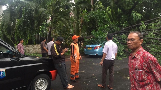 Pohon tumpang menimpa sebuah taksi di Jalan Karawang, Menteng, Jakpus. (Foto: kelik wahyu/kumparan)