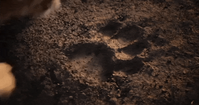 The Lion King. (Foto: Youtube/Walt Disney Studios)