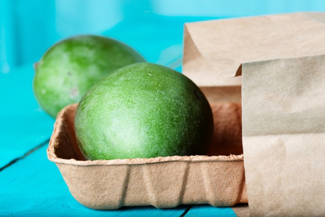 Ilustrasi menyimpan mangga (Foto: Shutter Stock)