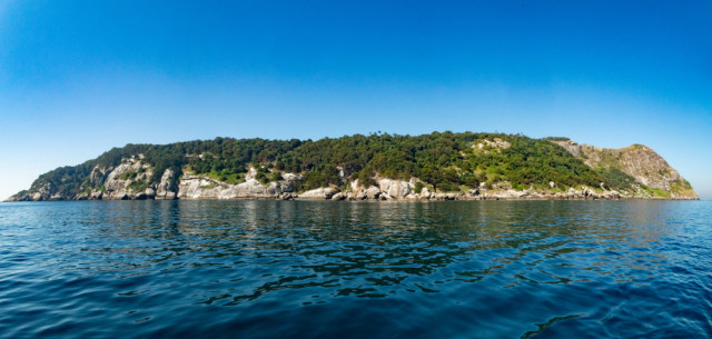 Ilha de Queimada Grande, Brazil (Foto: Shutter Stock)