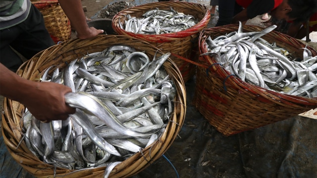 Nelayan memilah ikan yang baru saja ditangkap di pantai Sidem, Tulungagung, Jawa Timur. Foto: ANTARA FOTO/Prasetia Fauzani