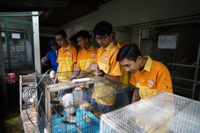 com-CSR Pertamina "Jalak Bali" (Foto: Pertamina)