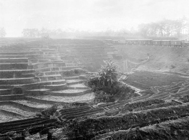 Ular Besi di Lembah Serayu