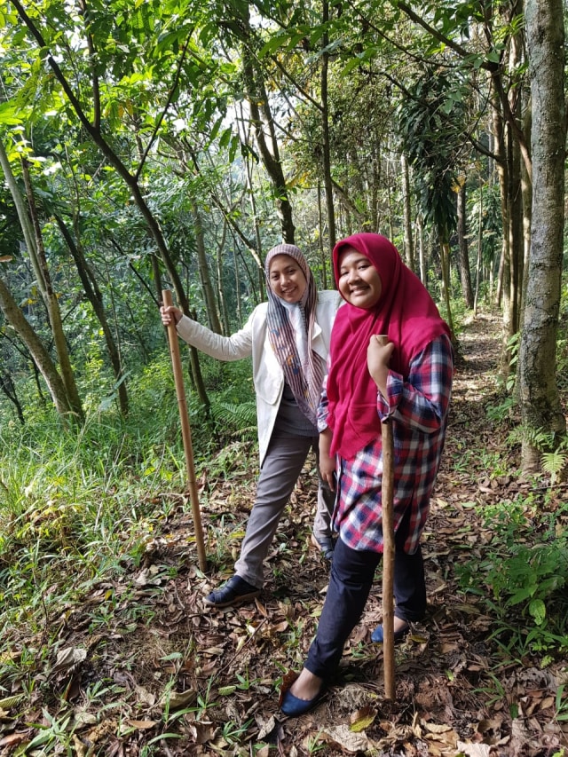 Legalisasi Hutan Privat, Solusi untuk Melindungi Lahan Kritis? (1)
