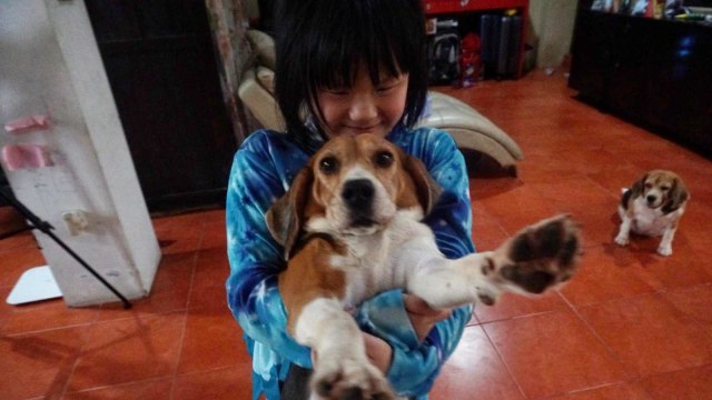 Si juara catur dunia, Samantha Edithso (Foto: Irfan Adi Saputra/kumparan)