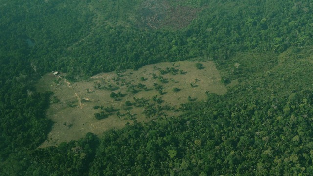 Gambar dari udara penggundulan hutan hujan Amazon, Brasil. (Foto: AFP/CARL DE SOUZA)