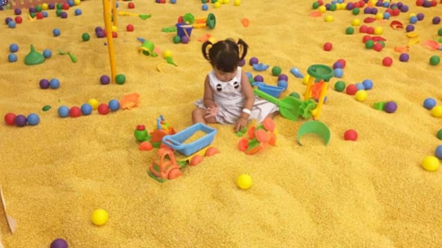 Pengalaman Bermain di Jolly Fields by Zoomoov