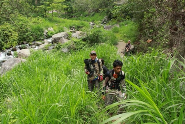 Menikmati Ragam Hayati Air Terjun Kali Pedati (1)