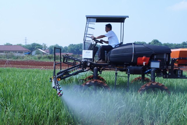 Petani di lahan rawa (Foto: Kementan)