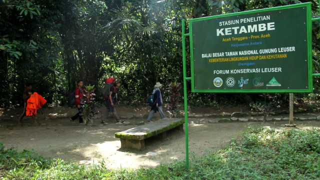 Taman Nasional Gunung Leuser telah berdiri sejak tahun 1971. (Foto: Zuhri Noviandi/kumparan)
