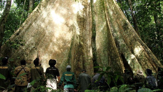 Para pengabdi Taman Nasional Gunung Leuser, Aceh Tenggara. (Foto: Zuhri Noviandi/kumparan)