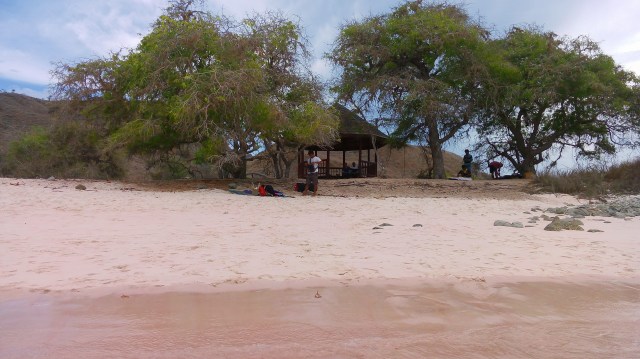Pink Beach di Labuan Bajo, NTT (Foto: Helinsa Rasputri/kumparan)