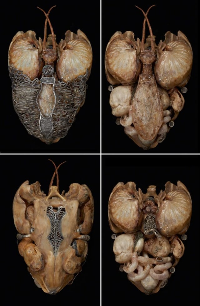 Organ bagian dalam patung Adam terbuat dari kerang dan perak (Foto: Gillian Genser)