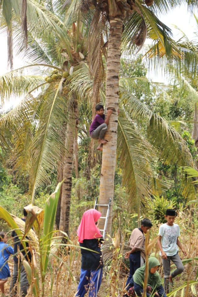 'Buang Diri' Mencari Kelapa Bersama Bocah-Bocah Dusun (2)