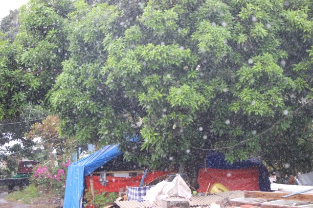 Musim Baru, Kemungkinan Baru. Tantangan Bagi Desa Dangiang yang Tengah Berbenah