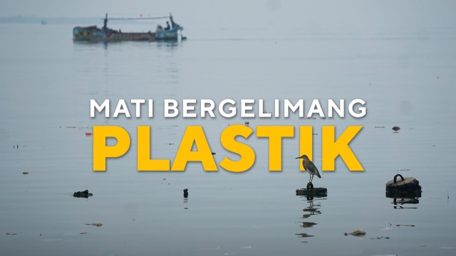 Mati Bergelimang Plastik. (Foto: Iqbal Firdaus/kumparan)