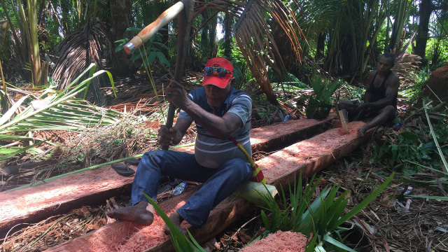 Proses tokok (parut) di batang sagu, Kampung Yoboi, Sentani, Papua (6/12/2018). (Foto: Ema Fitriyani/kumparan)