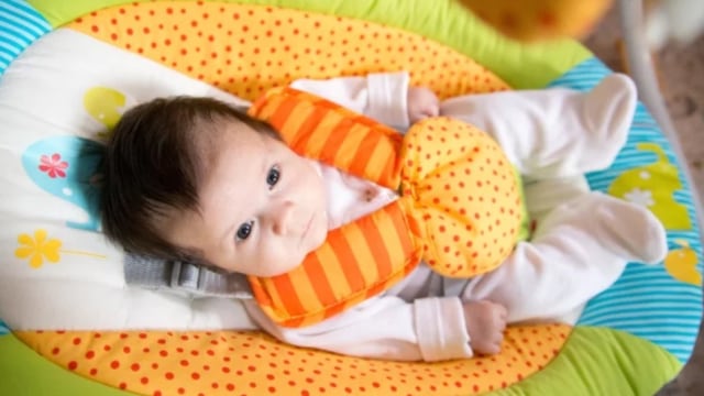 Baby Bouncer  (Foto: Shutterstock)