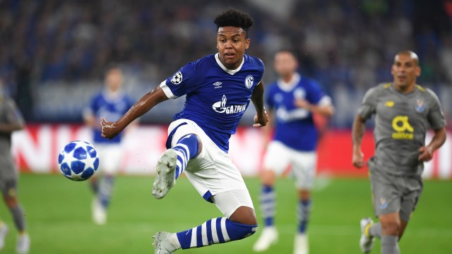 McKennie dalam laga bersama Schalke 04. (Foto: Patrik Stollarz / AFP)