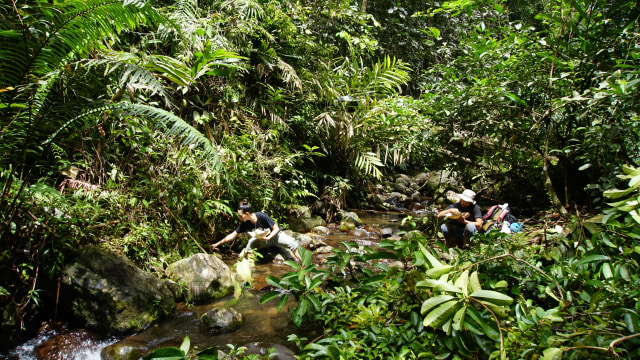 Makan Siang di Sungai. (Foto: Nur Khafifah/kumparan)
