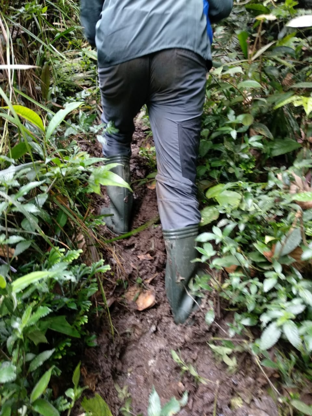 Kondisi Medan hutan Batang Toru. (Foto: Dok. Sumarwan/HII)