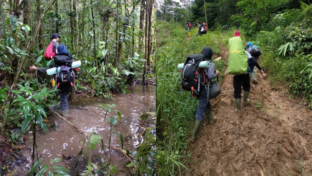 Kondisi Medan Hutan Batang Toru. (Foto: Dok. Sumarwan/HII)