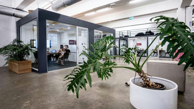 Kantor Canva di Sydney, Australia. (Foto: product.canva.com)