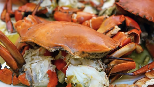 Kepiting bisa memberi banyak manfaat kesehatan (Foto: Pixabay)