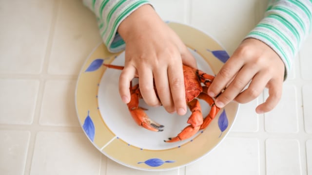 Ilustrasi anak makan kepiting (Foto: Shutterstock)