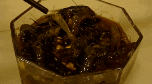 Drunken shrimp (Foto: Youtube/MaDworldtrip )