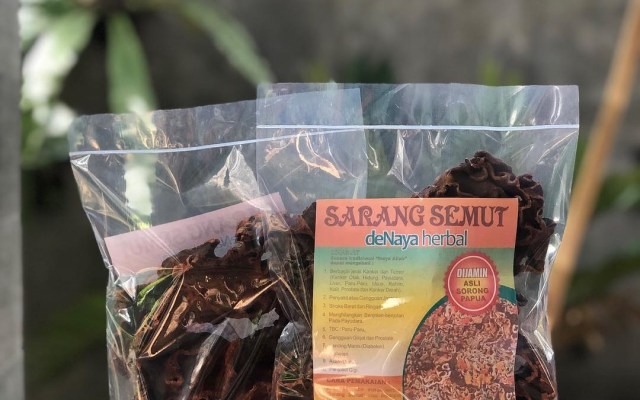 Ilustrasi Sarang Semut (Foto: Instagram @denayaherbal)