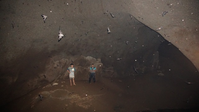 Kondisi di dalam Goa Kelelawar, Batang Toru (Foto: Nur Khafifah/kumparan)