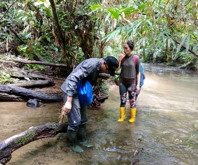 Suasana di Hutan Batang Toru. (Foto: Dok. Sumarwan/HII)