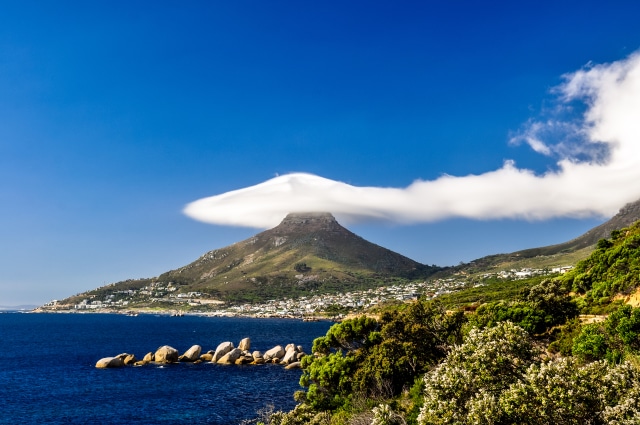 Lion's Head (Foto: Shutter Stocks)