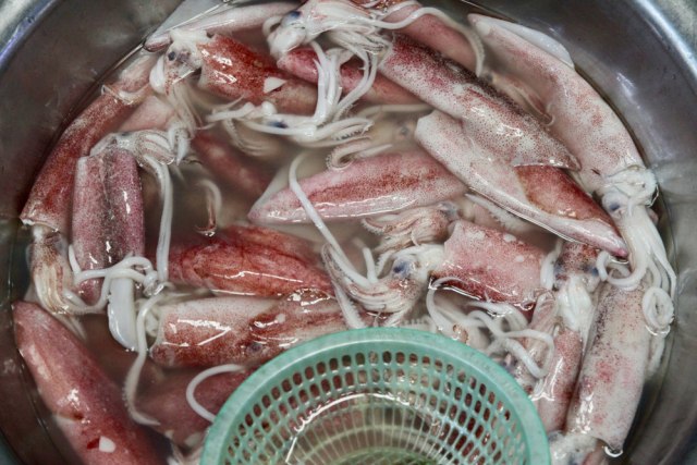 cumi-cumi (Foto: Shutterstock)