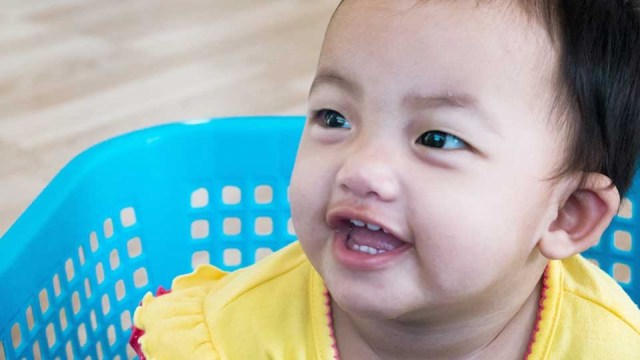 Bahayakah Bila Gigi Taring Tumbuh Duluan?